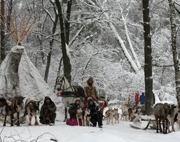 Экскурсия Северные олени и ездовые собаки