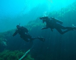 Курс по дайвингу PADI Open Water Diver